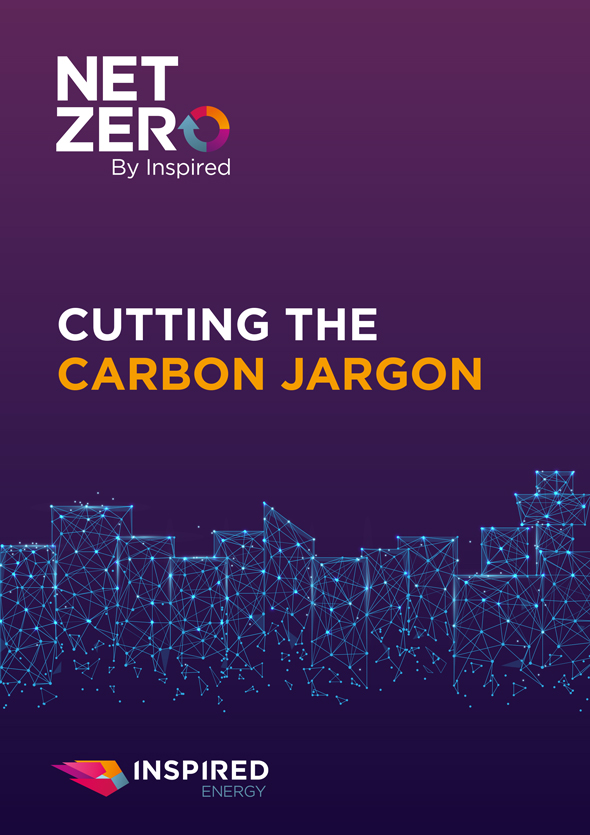 Inspired Net Zero - Carbon Jargon Report